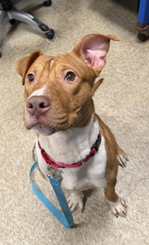 G75tNLvWUAA t9y?format=jpg.jpg