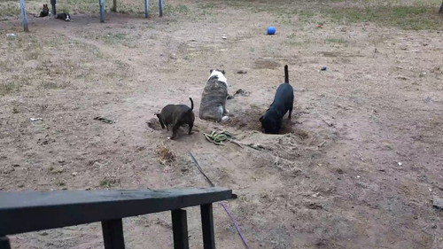 v73OiEkaBBeZ ItS.jpg