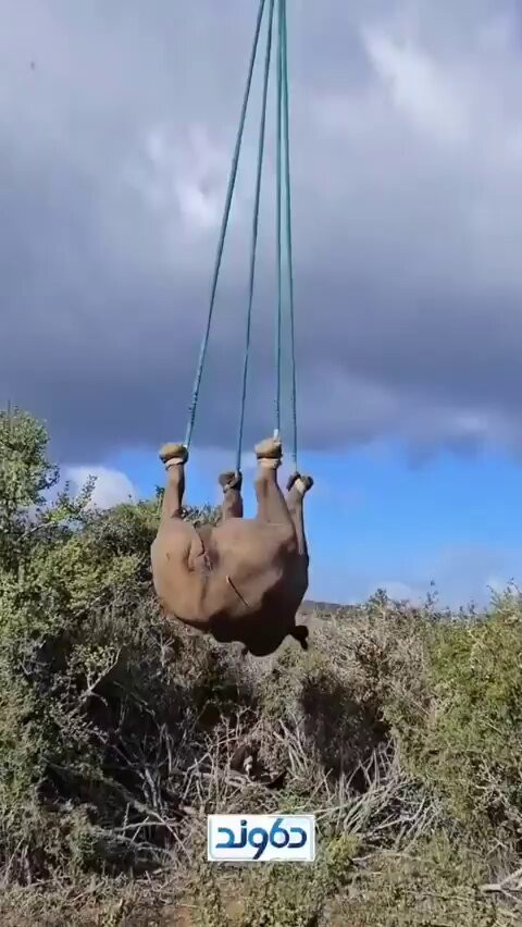 qN 5oOIHv3I HaMV.jpg