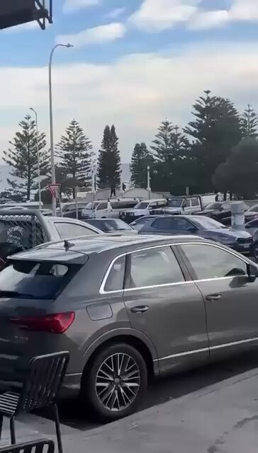 pCXBpaRQV56 bAzk.jpg