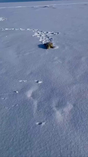 g4FveyT8ngn7UJ2 .jpg