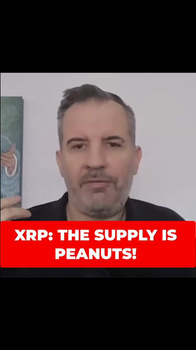 ML zeM3225dynDbk.jpg