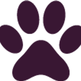 paw