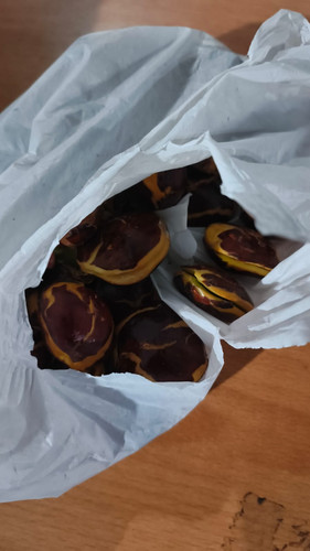 WhatsApp Image 2025 12 14 at 23.35.27.jpg