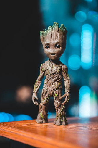 e6847679c2f4.jpg