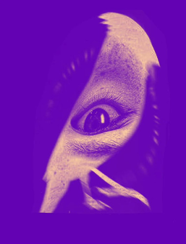 G8B5kJYWsAYh NX.jpg