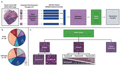 G79pwUHXcAYeeGF.jpg