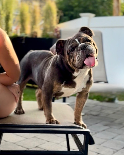 762f4203 d551 42b0 a902 f9d642843854.jpg