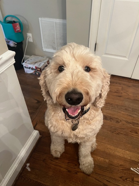 5e22c9ef 35d5 4525 b66b e728855102ab.jpg