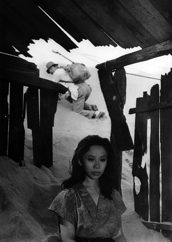 kiem Woman in the Dunes 1964.jpg