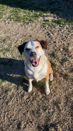 7f475c85 9d34 444a 8286 365c57d0b61f.jpg