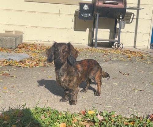 49cbf643 f9b4 4cf0 b032 905315c9de84.jpg