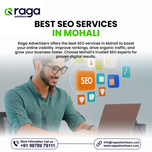 Best SEO Services in Mohali.jpg