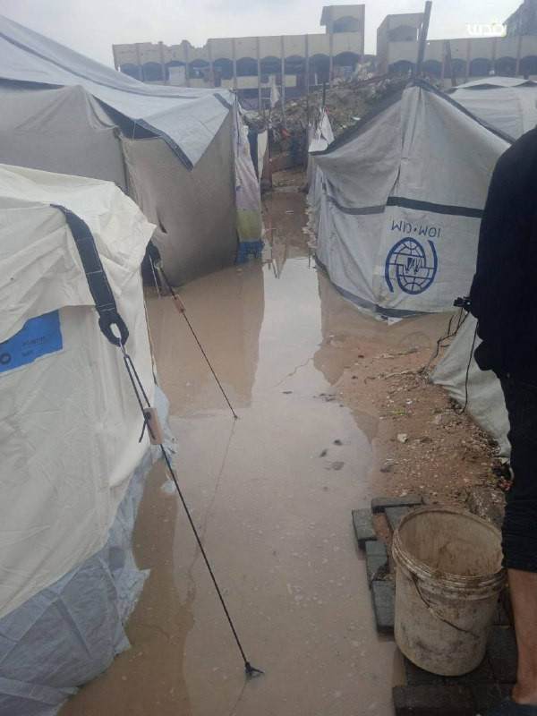 14 شهيداً في غزة جرّاء المنخفض الجوي الأخير.. غرق الخيام وتفاقم معاناة الأهالي

▫️غرق خيام النازحين في غزة متواصل بسبب تأثير المنخفض الجوي، وتدمير الا...