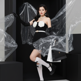 generated image 1765613296219.png