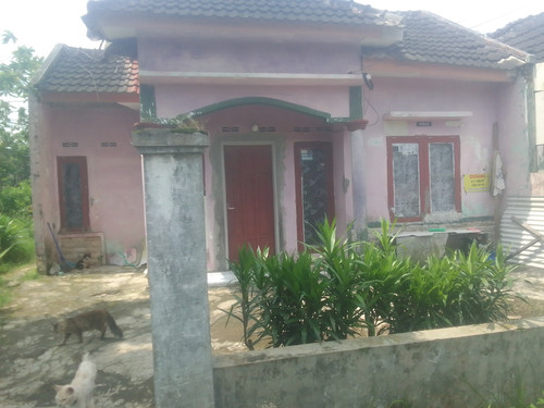 IMG 20251213 095844.jpg