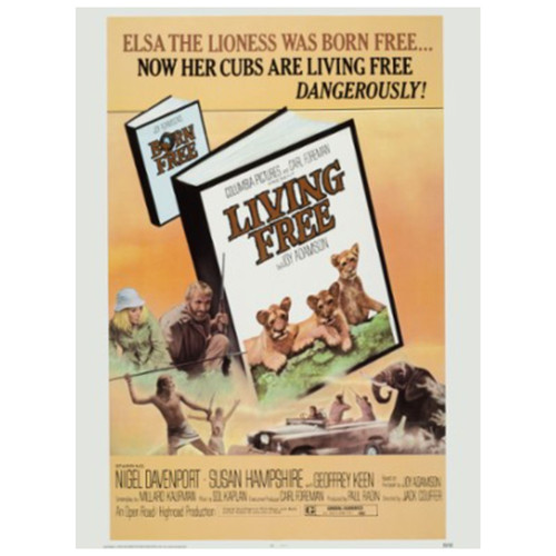 Untitled design (19).jpg