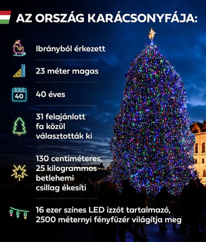 598470768 1194812676155269 6612066437665548013 n.jpg?stp=dst jpg s590x590 tt6& nc cat=110&ccb=1 7& n.jpg