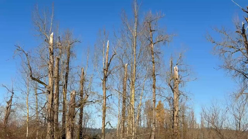 hxU2 VUU zTztwaz.jpg