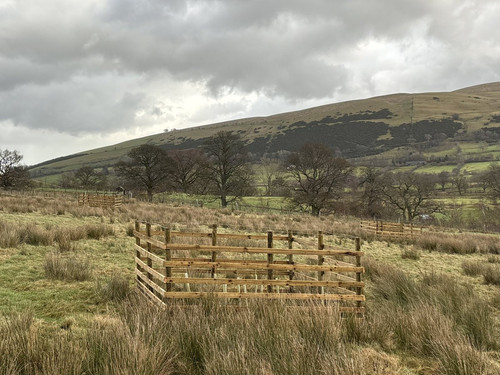 G8DDMlzWUAQL El?format=jpg.jpg