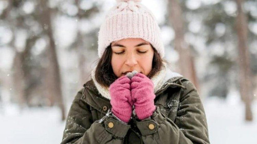 598836345 1327612126063915 1443214672727657941 n.jpg? nc cat=109&ccb=1 7& nc sid=127cfc& nc ohc=od1T.jpg