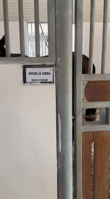 WaYEsJerKj1AuOjo.jpg