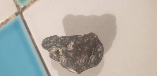 f07601dce805.jpg