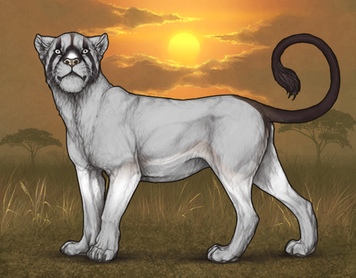 GemsMark Ragdoll.png