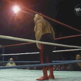 IMG 0081.gif