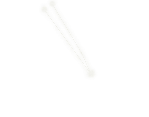 circinus.png