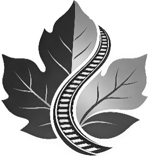 215FA798839492330BCA477DB53A2BF5 300x310.png