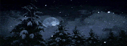 natale 2025.gif