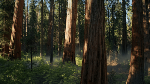 Sequoia Sunrise.png