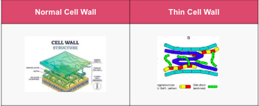 Screen Shot 2025 12 14 at 22.07.39.png