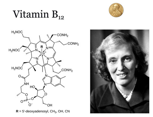 G8A5qAFXUAEp s5?format=jpg.jpg