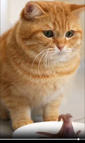 스크린샷 2025 12 14 193534.png