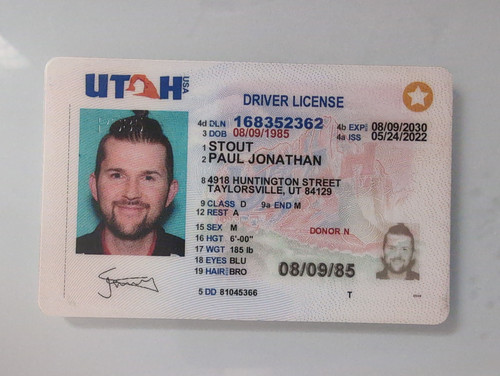 Paul Jonathan Stout license image.jpg