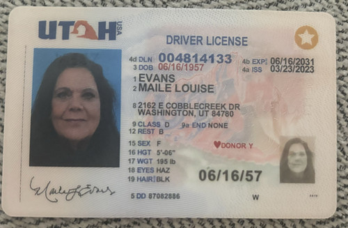 Maile Louise Evans license image.jpg
