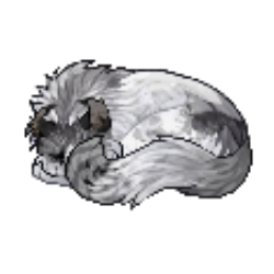 ккккк.png
