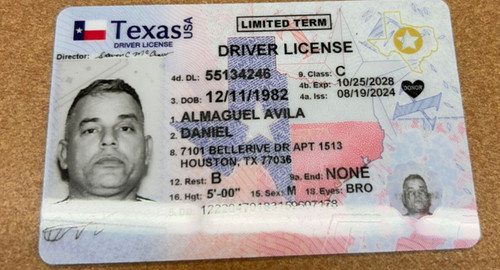 Daniel Avila license image.jpg