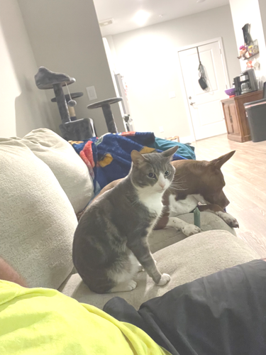 5eb15e02 cdc9 4b3d 8687 99e802d03fcd.png