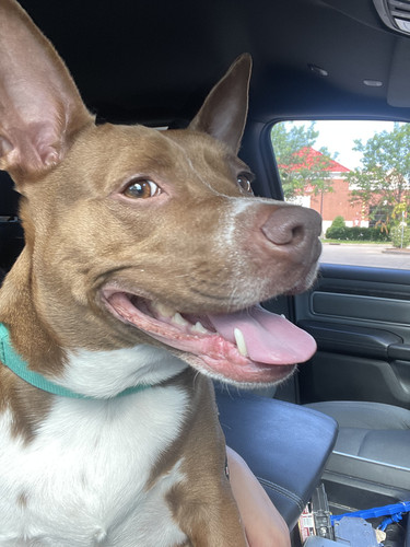 c45e4bcf bbcf 4130 bd75 5f9c651abc78.jpg