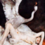 46461b4337a0.png