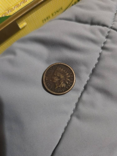 81792dc699cf.jpg
