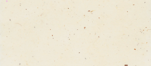 c1e7512a8055.png
