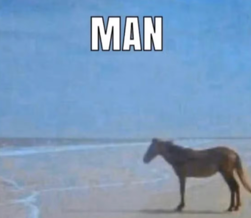 2025 12 13 20 36 47 man horse meme.jpg (2000×1000).png