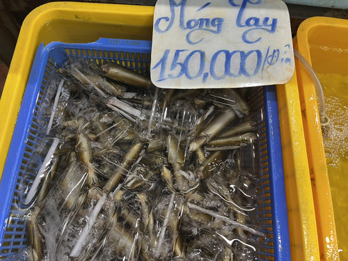 móng tay.jpg