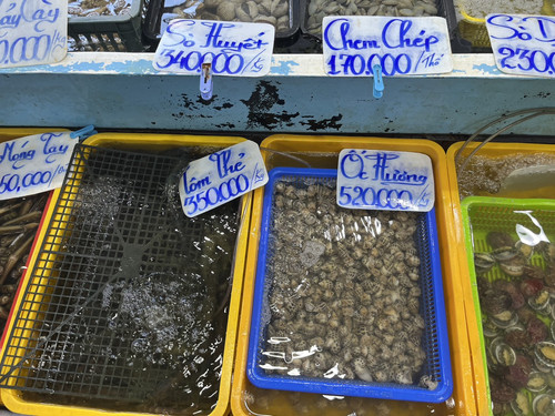 ốc 02.jpg