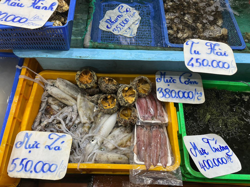 Mực , nhum.jpg