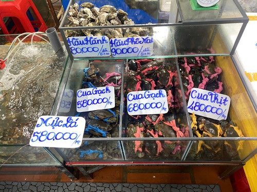 Cua biển gạch.jpg